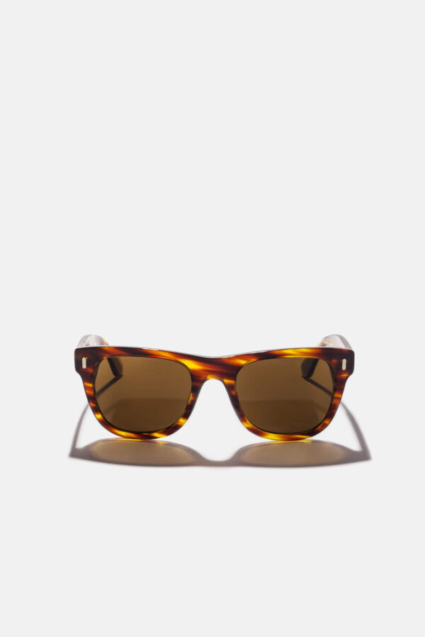 Walker Sunglasses Tiger